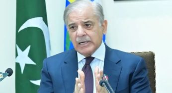 وزیر اعظم شہباز شریف نے کہا کہ یقینی بنایا جائے کہ کوئی بھی منافع خور سزا سے بچ نہ پائے اور کوئی بے گناہ زیر عتاب نہ آئے