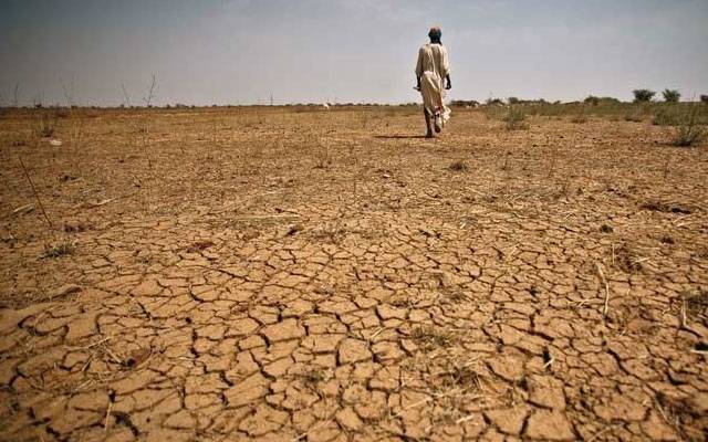 بارشوں کی کمی کے باعث ممکنہ خشک سالی سے نمٹنے کیلئے پی ڈی ایم اے نے کمر کس لی