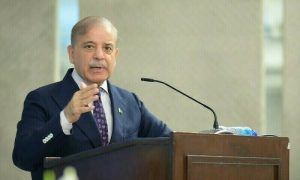 بھارت سے کشمیر پانی تجارت اور دہشت گردی پر بات ہوگی وزیراعظم شہبازشریف