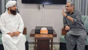 وزیر داخلہ محسن نقوی نے کہا ہے کہ دشمن اب کسی بھی مس ایڈونچر سے قبل سو بار سوچے گا