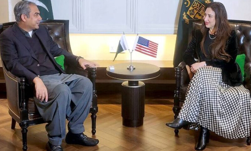 وفاقی وزیر داخلہ محسن نقوی سے امریکی سفیر کی ملاقات پاکستان کو مطلوب افراد سے متعلق تبادلہ خیال