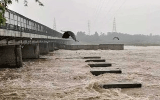 پنجاب میں شدید بارشوں اور سیلاب کی وجہ سے تربیلاڈیم 99 فیصد تک بھر گیا جبکہ سیلاب سے ہزاروں ایکڑ پر کھڑی فصلیں ہو گئی ہیں