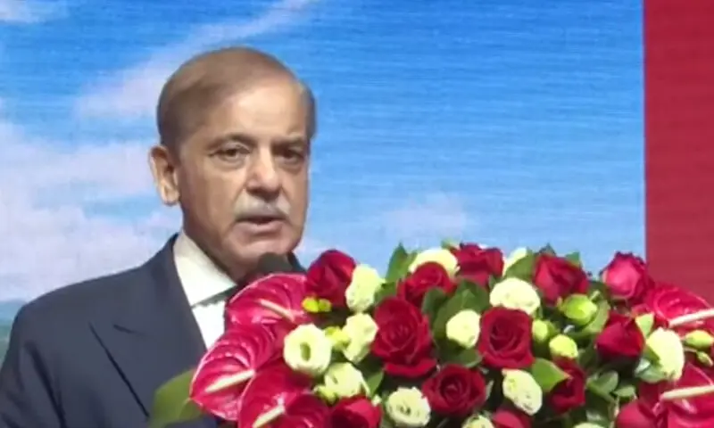 چینی سرمایہ کار پاکستان میں سرمایہ لگائیں تمام سہولتیں مہیا کریں گے وزیراعظم