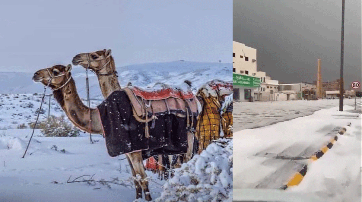 سعودی عرب اور قطر کے مختلف علاقوں میں غیرمتوقع طور پر برفباری ہوئی کئی علاقوں میں شدید سردی اور بارش