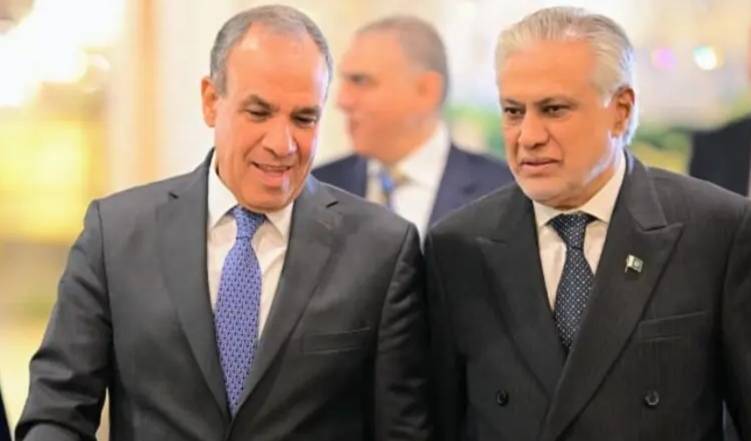 غزہ جنگ بندی معاہدے میں پاکستان نے اہم کردار ادا کیا مصری وزیر خارجہ