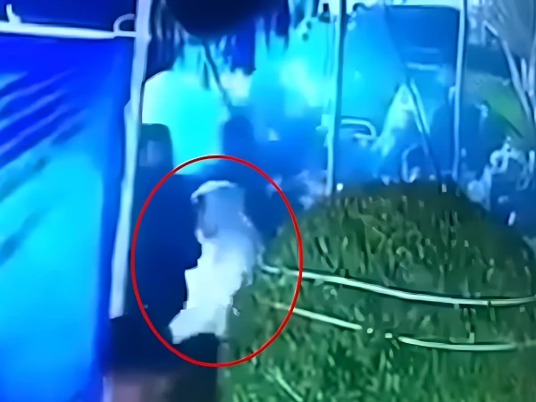 ڈی آئی خان شادی کی تقریب میں دھماکے کی فوٹیج سامنے آگئی خودکش بمبار افغانی نکلا