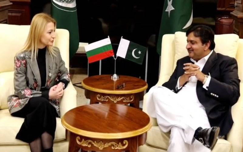 اسپیکر پنجاب اسمبلی ملک محمد احمد خان سے بلغاریہ کی سفیر کی ملاقات
