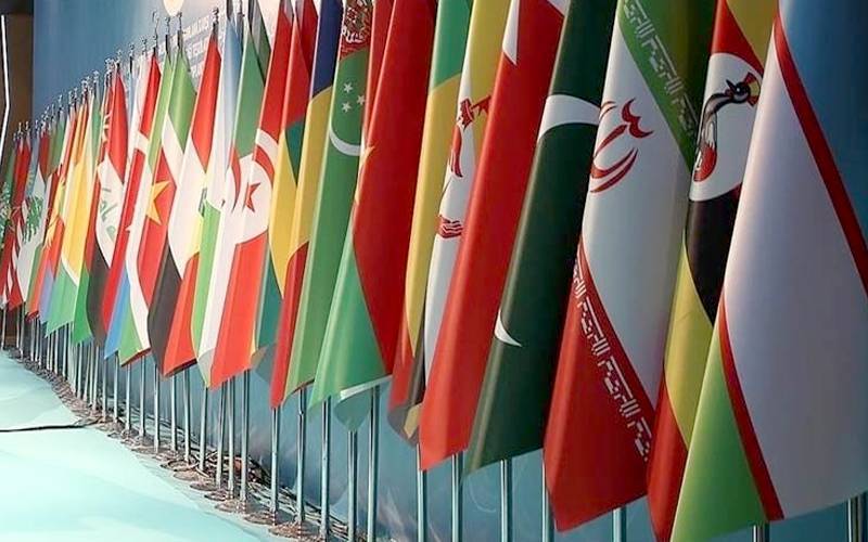 پاکستان سمیت 14 اسلامی ممالک کی اسرائیل میں تعینات امریکی سفیر کی مذمت