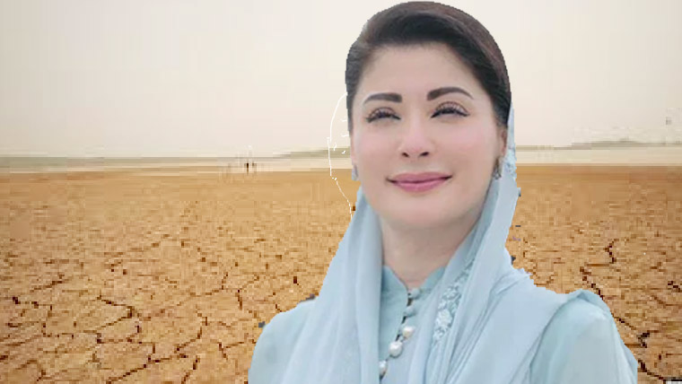 پنجاب میں شرمپ فارمنگ کے انقلابی منصوبوں پر پیشرفت بنجر زمینیں معاشی زونز میں تبدیل