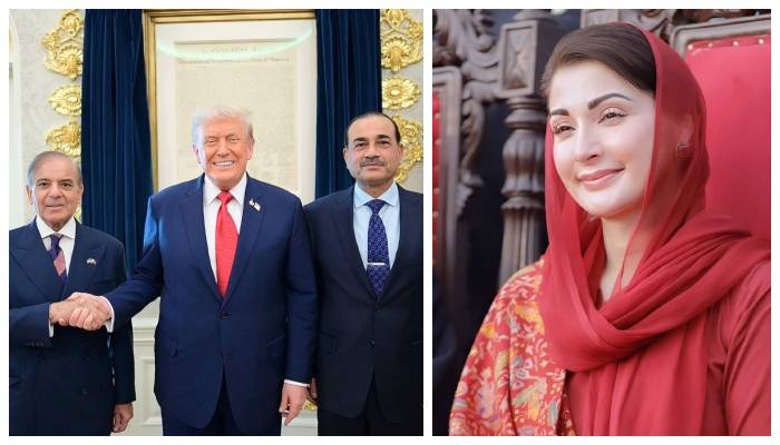 تاریخ عالم میں جب بھی اس جنگ کا ذکر ہوگا ہر جگہ پاکستان ہی لکھا جائے گا مریم نواز