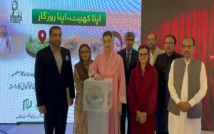 وزیراعلیٰ پنجاب نے اپنا کھیت اپنا روزگار سکیم  پورٹل کا افتتاح کر دیا