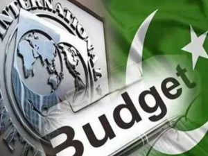آئی ایم ایف کا پاکستان سے ٹیکس نیٹ بڑھانے اور ٹیکس وصولی بہتر بنانے پر زور