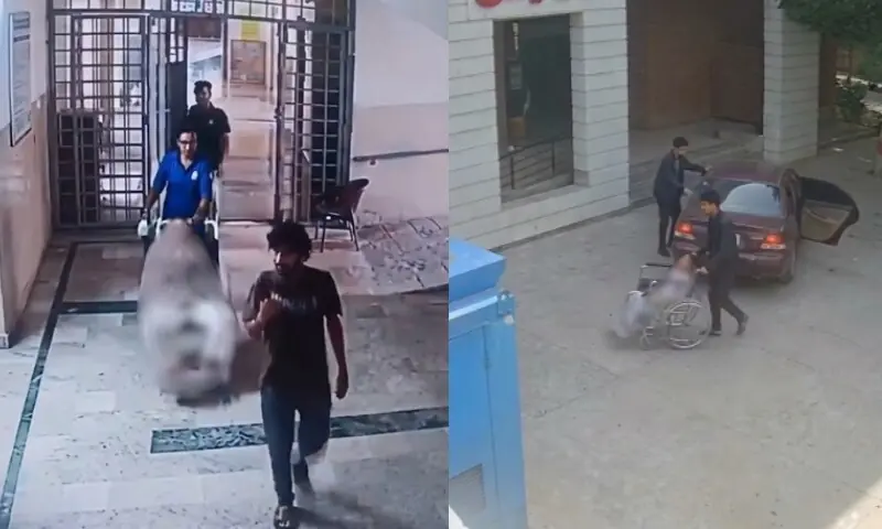 جھنگ میں فرسٹ ایئر کی طالبہ ایشال فاطمہ مبینہ اغوا اور زیادتی کے بعد دم توڑ گئی