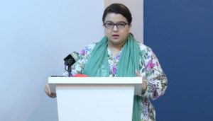 ٹیلی کام بل سے ذاتی زمین اور جائیداد پر زبردستی قبضہ نہیں ہوگا شزا فاطمہ