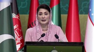 خواتین کے لیے اپنا روزگار پروگرام میرا خواب ہے مریم نواز