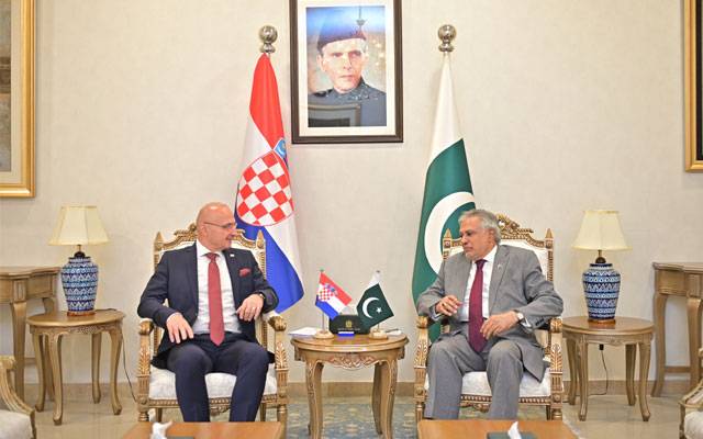 افغانستان میں موجود دہشتگرد تنظیمیں پاکستان کی سلامتی کیلئے مسلسل خطرہ ہیں اسحاق ڈار