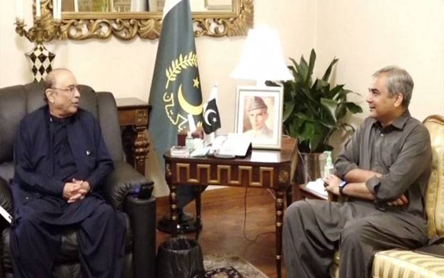وفاقی وزیرِ داخلہ محسن نقوی کی صدرزرداری سے ملاقات
