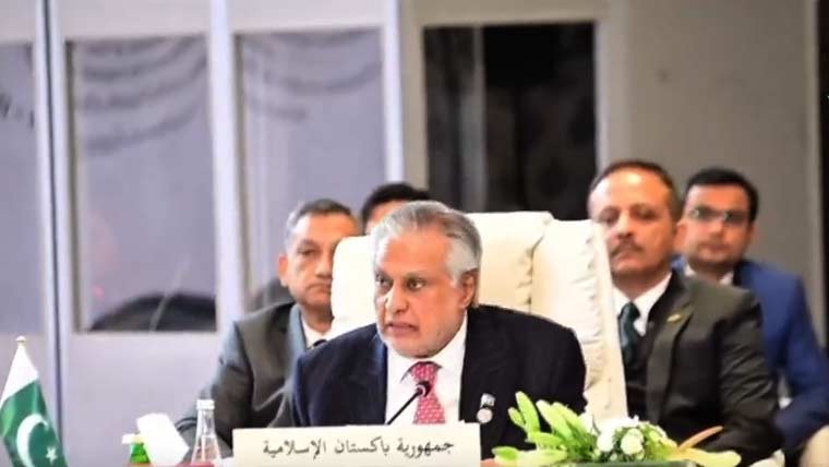 فلسطین کی آزادی کیلئے عرب اور مسلم ممالک کو متحد ہو کر کردار ادا کرنا ہوگا اسحاق ڈار
