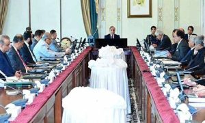 حکومت کا پیٹرولیم اسمارٹ لاک ڈاؤن لگانے پر غور