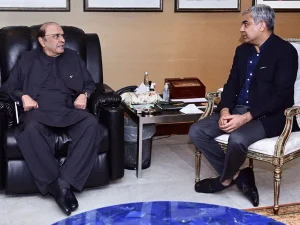 لندن میں وزیر داخلہ محسن نقوی کی صدر آصف علی زرداری سے ملاقات اہم پیغام بھی پہنچایا