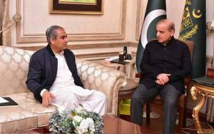وزیراعظم کی محسن نقوی سے ملاقات خیبرپختونخوا میں امن و امان کیلئے سخت فیصلوں پر غور